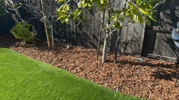 New bark mulch next to turf
