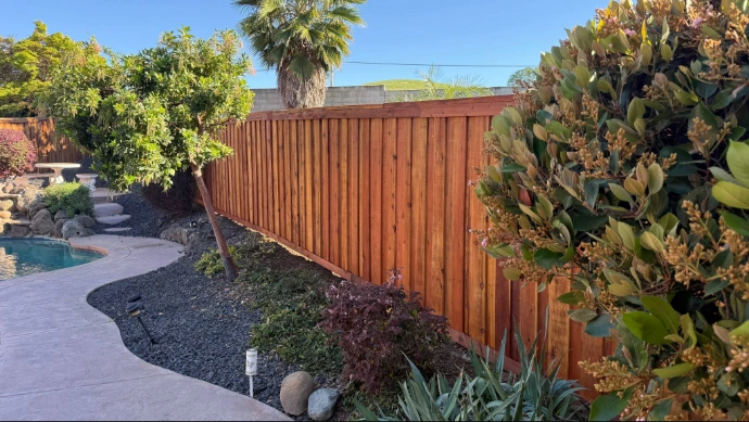 Board on Board style Redwood wooden fence