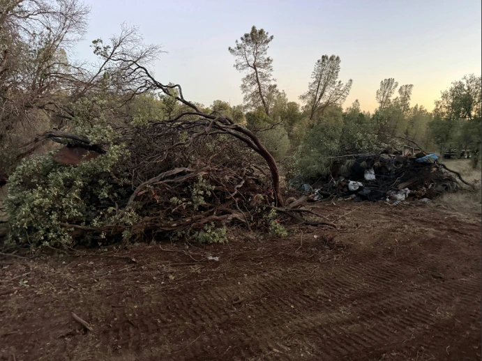 Burn piles before being lit.