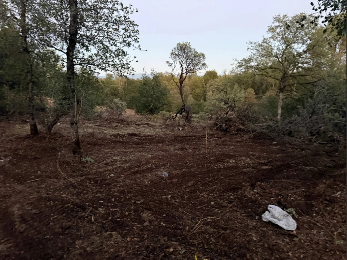 What remains after cleaning up a homeless camp.