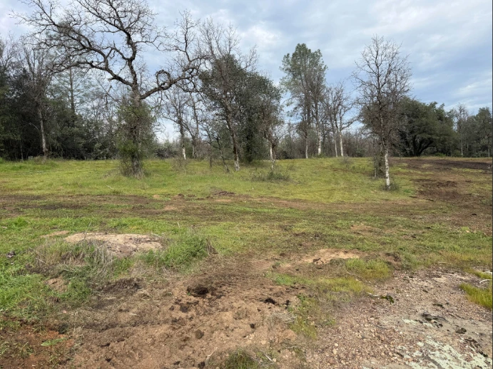 The property just to the west of the burn area.