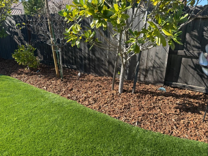 New mulch makes the landscape brighter.