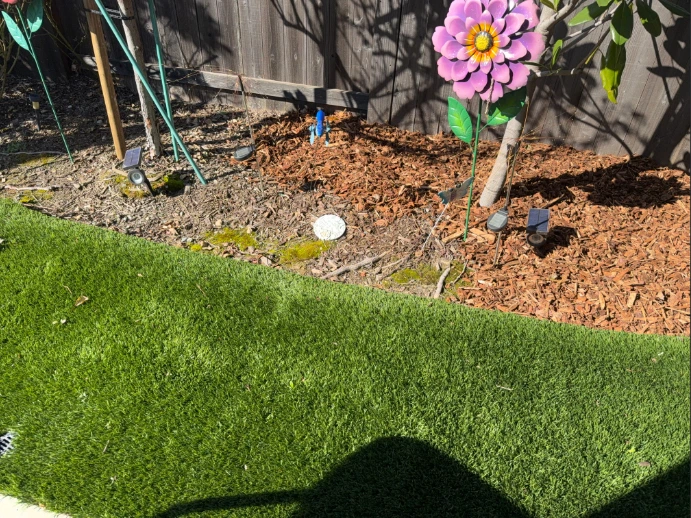 A before and after picture showing the process of mulching an area.