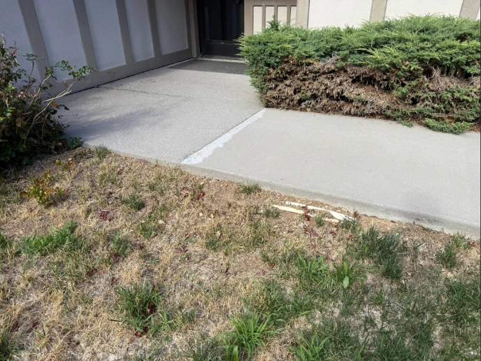 Sprinkler pipes on the surface