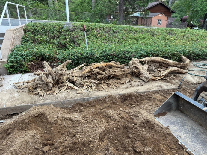 Old tree roots that needed to be removed.