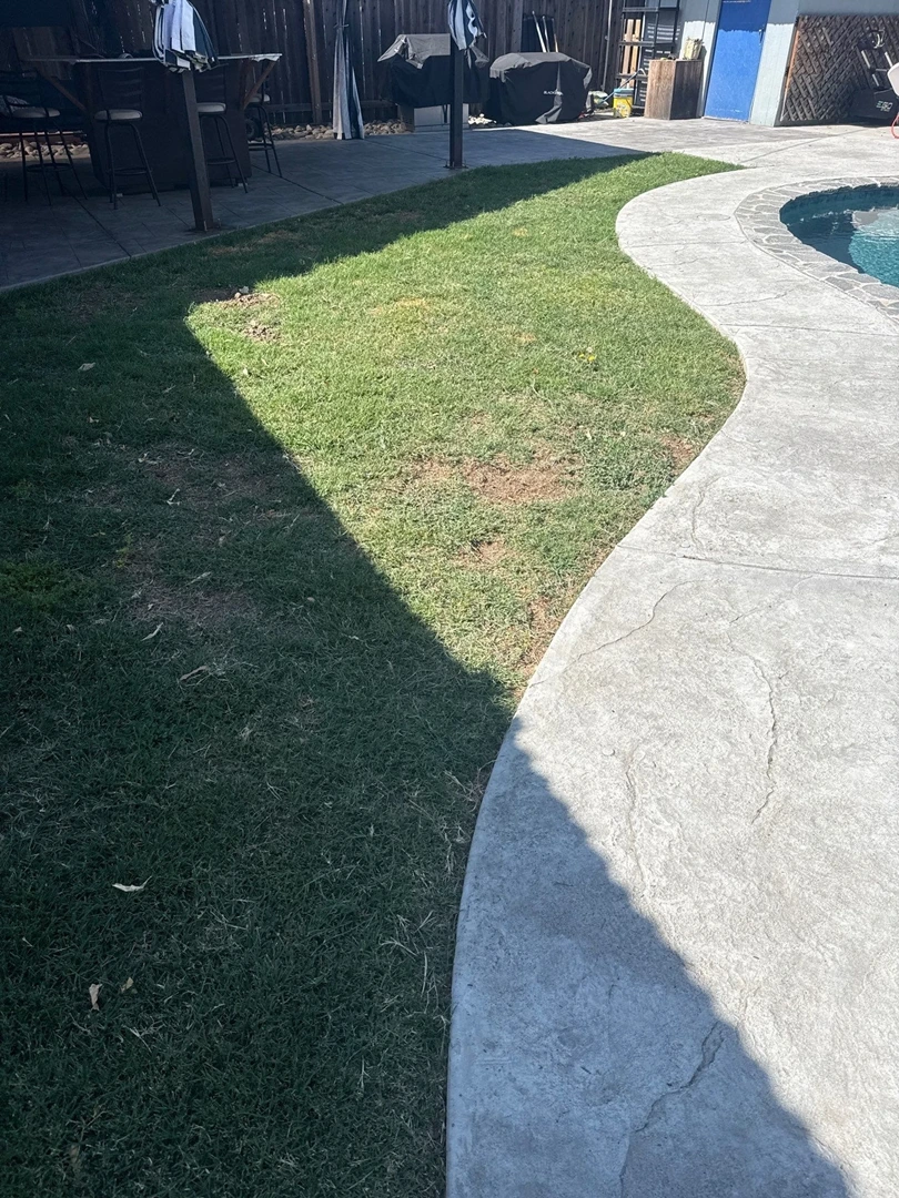 Old grass area