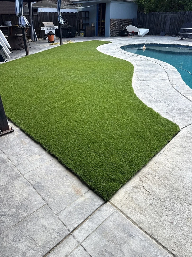 new turf